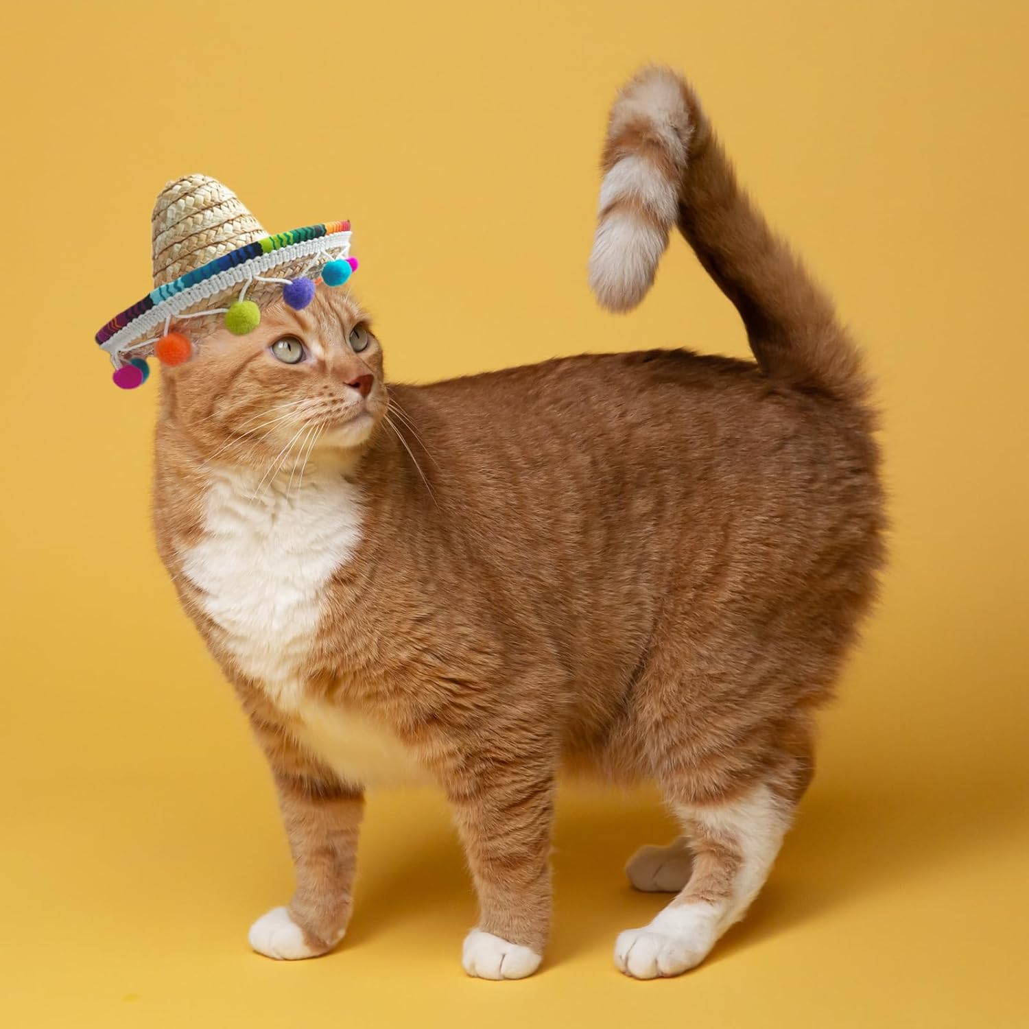 Cat Sombrero Cat Hats Pet Straw Cap Hat for Cats Mini Sombrero for Cat Puppy Small Dog Party/Birthday/Photo (Multicolour) - Image 2